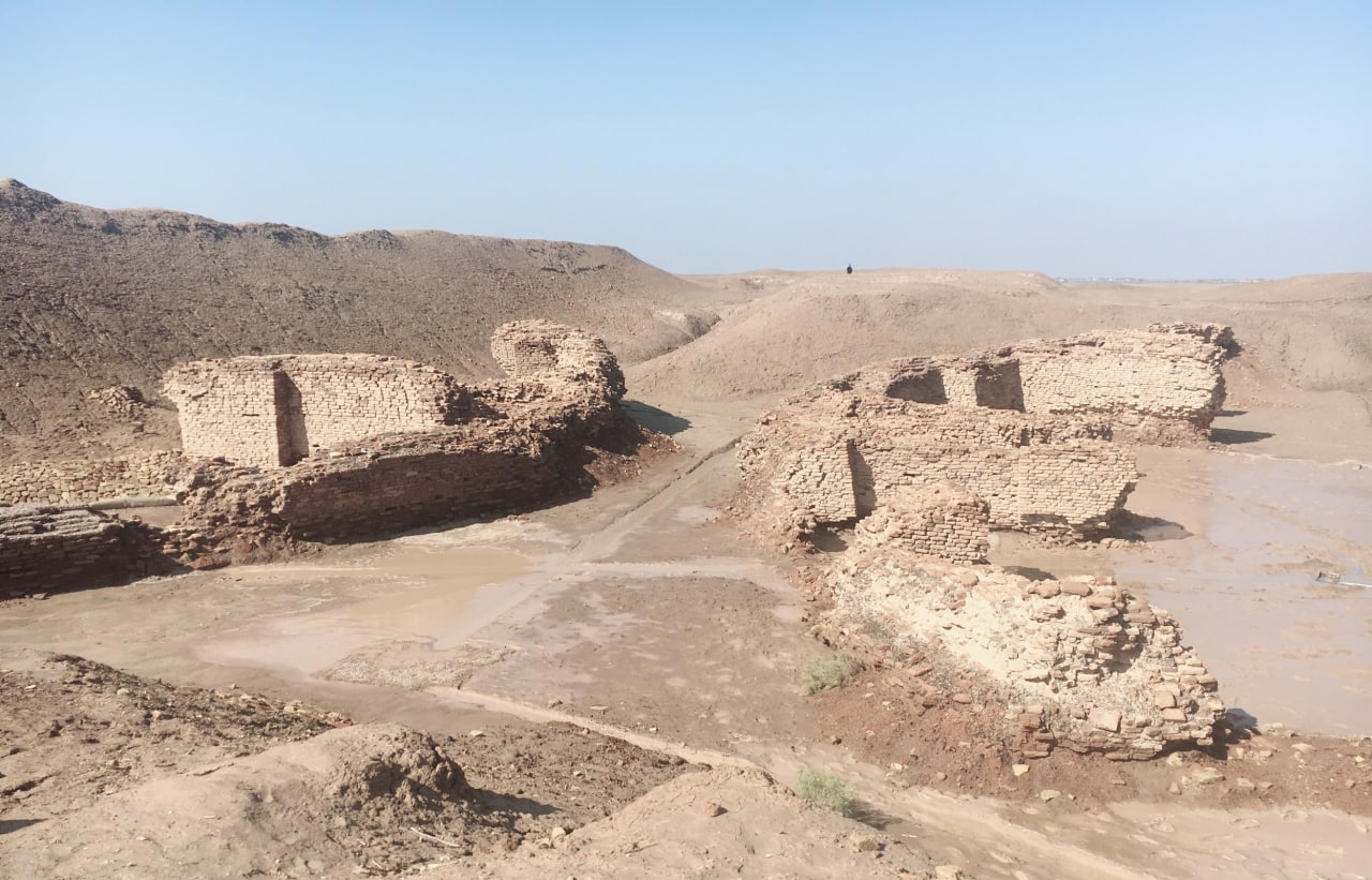 جرسو