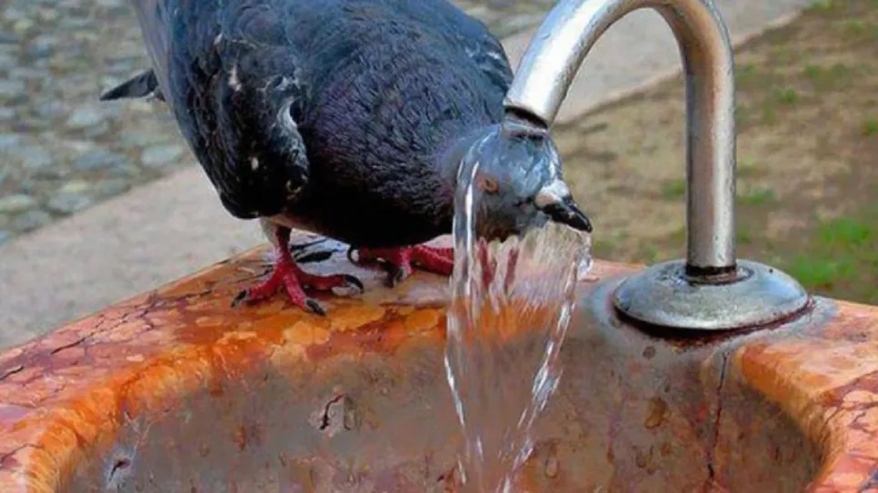 مرتفعة.jpg