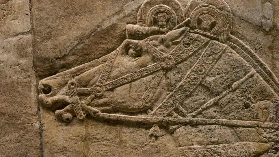 جدارية.jpg