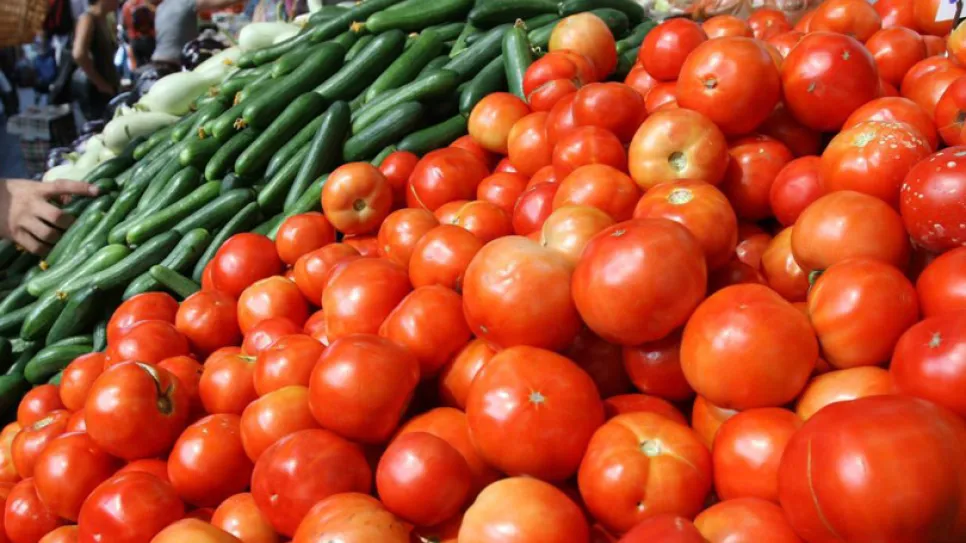 طماطة.jpg