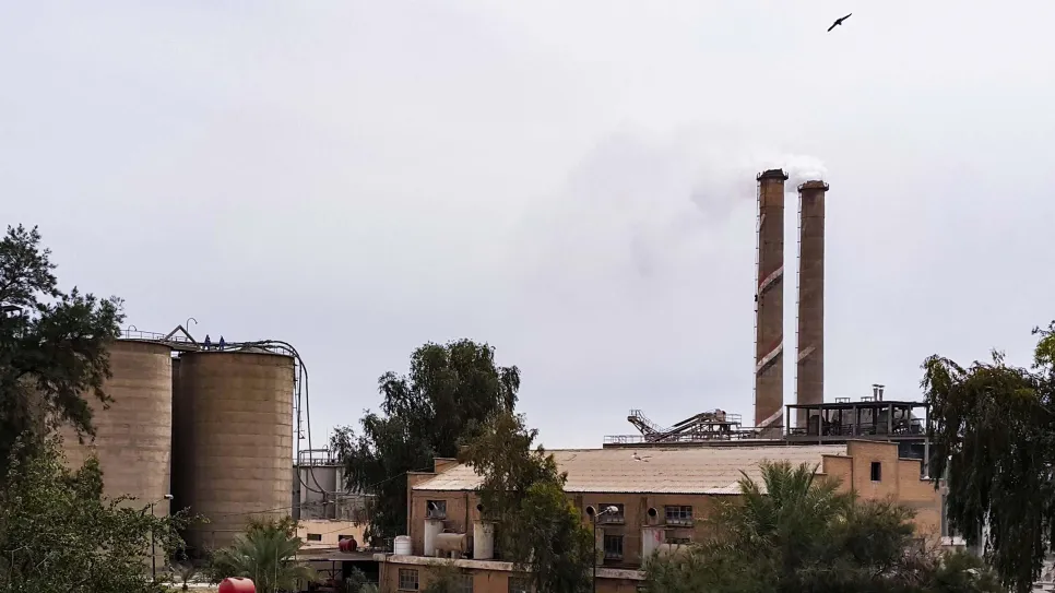 شركة الإسمنت.jpg