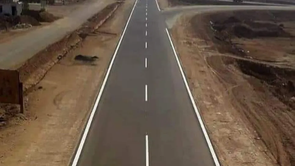 الشيب.jpg