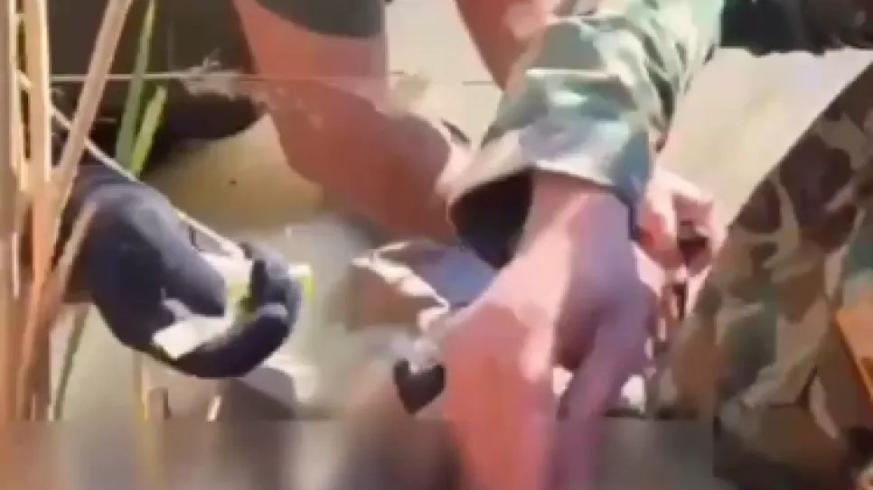 فحص جثة.png