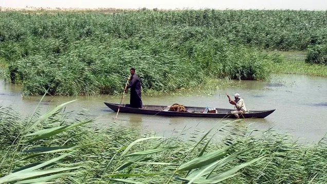 1200px-Marsh_Arabs_in_a_mashoof_0.jpg