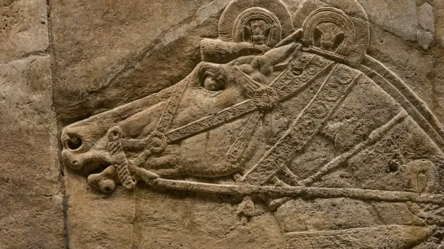 جدارية.jpg