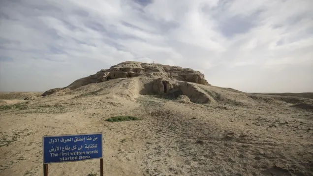 5feda5fc10648.jpg