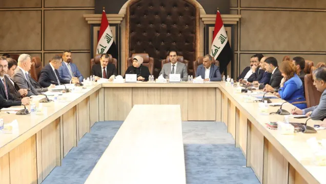 المالية النيابية ومحافظ البنك المركزي.jpg