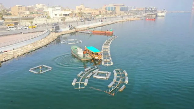 ميناء الفاو.jpeg