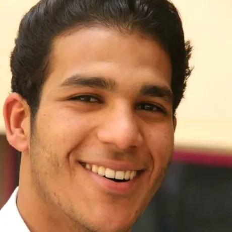 حسام الخولي