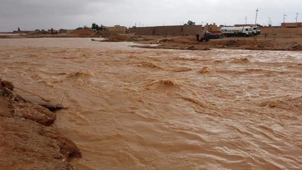 سيووول.jpg