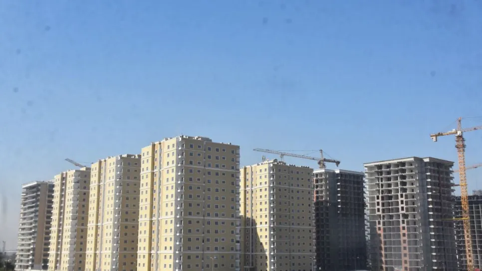 546452.jpg