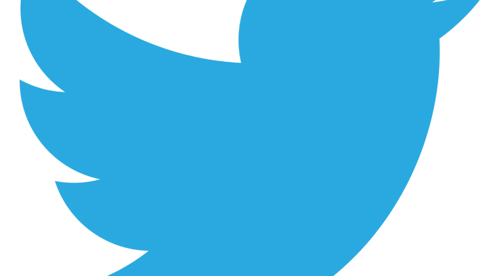 Twitter_bird_logo_2012.svg_.png