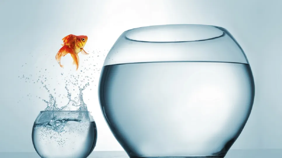 fear-change-uncertainty-manage-support-health-wellness-well-being-c_1.png