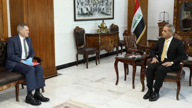 السفير الأمريكي القضاء .jpg