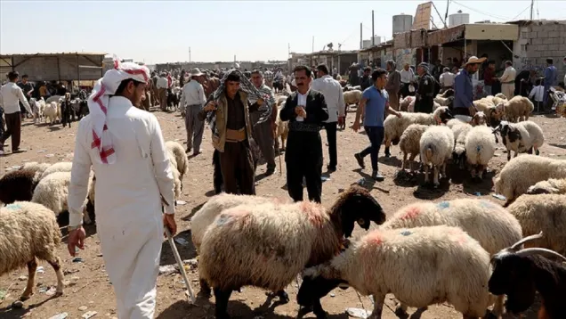 عيد_1.jpg