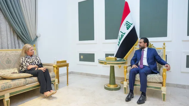 الحلبوسي بلاسخارت.jpg