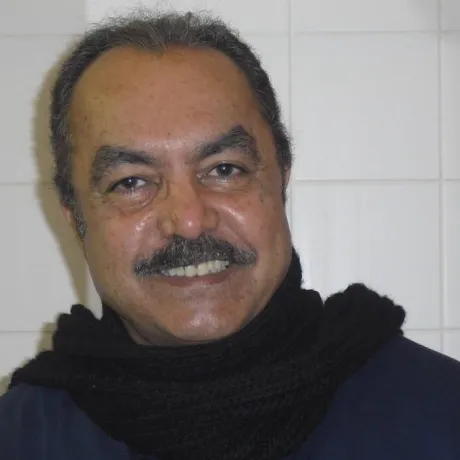 علاء اللامي